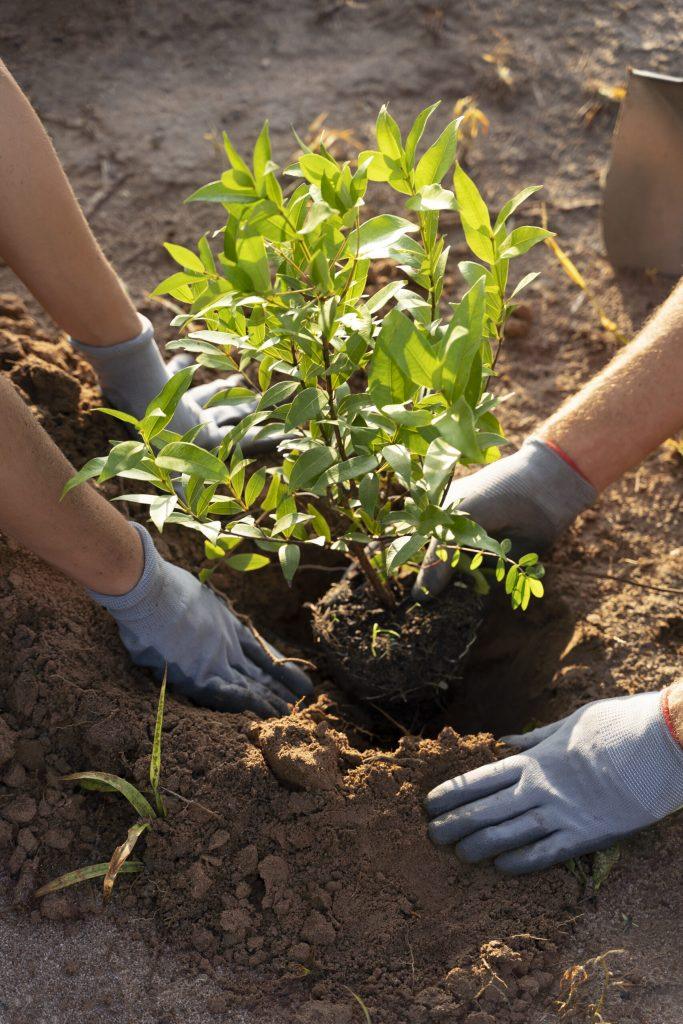 people planting tree countryside scaled
