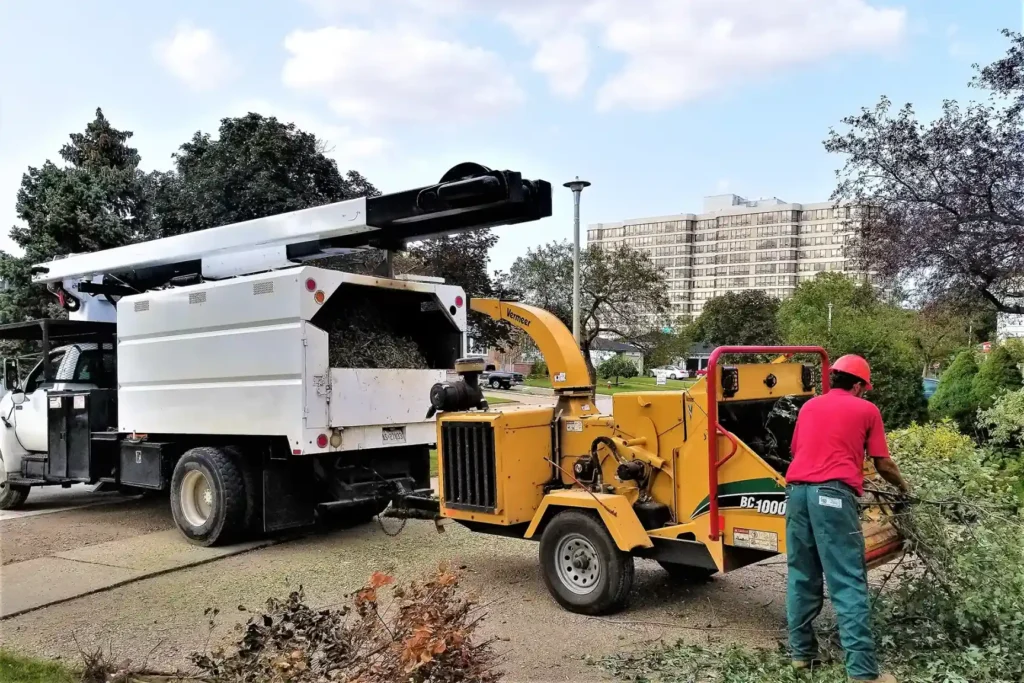Tree Service Toronto 1