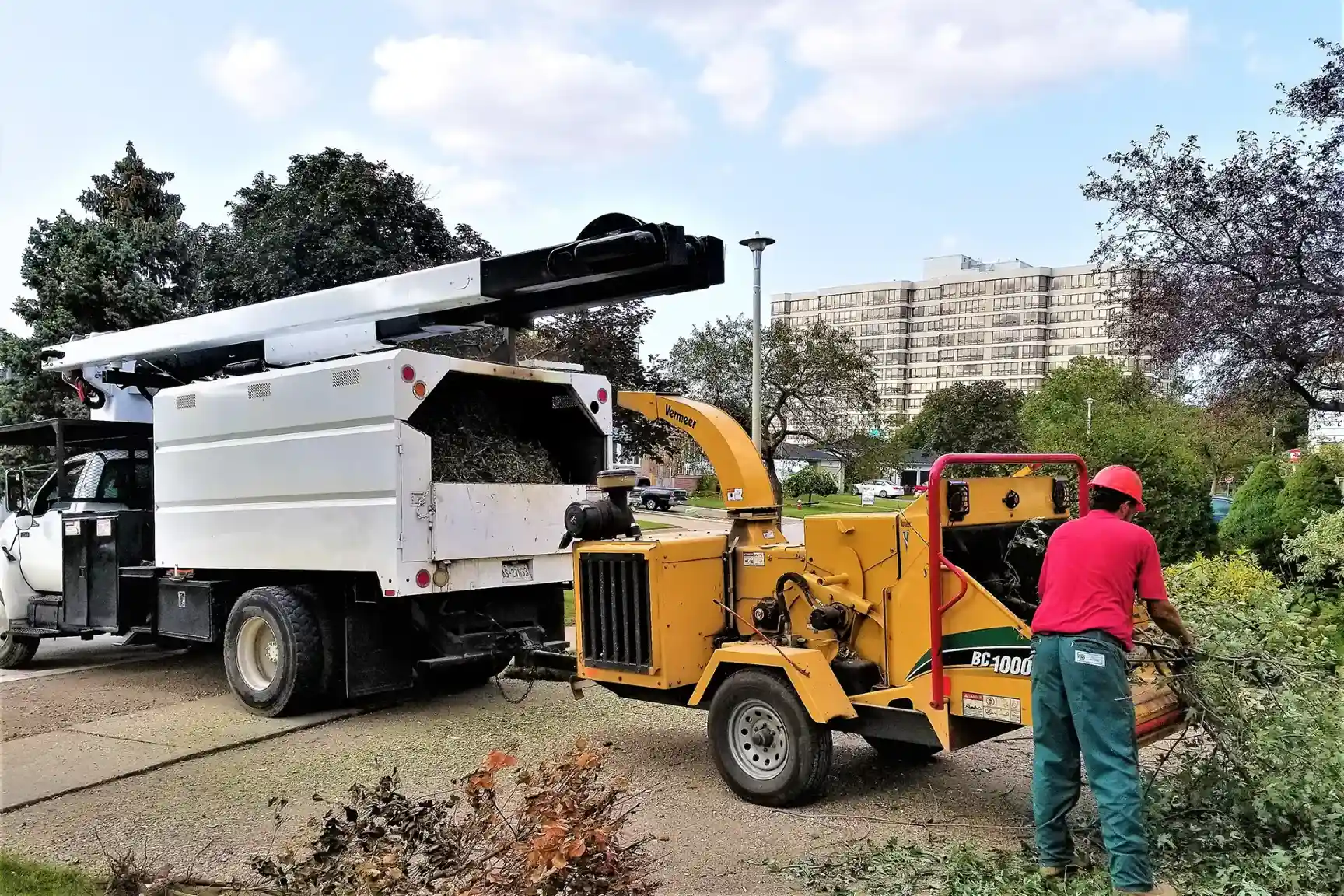 Tree Service Toronto 1 Tree Service Toronto 1