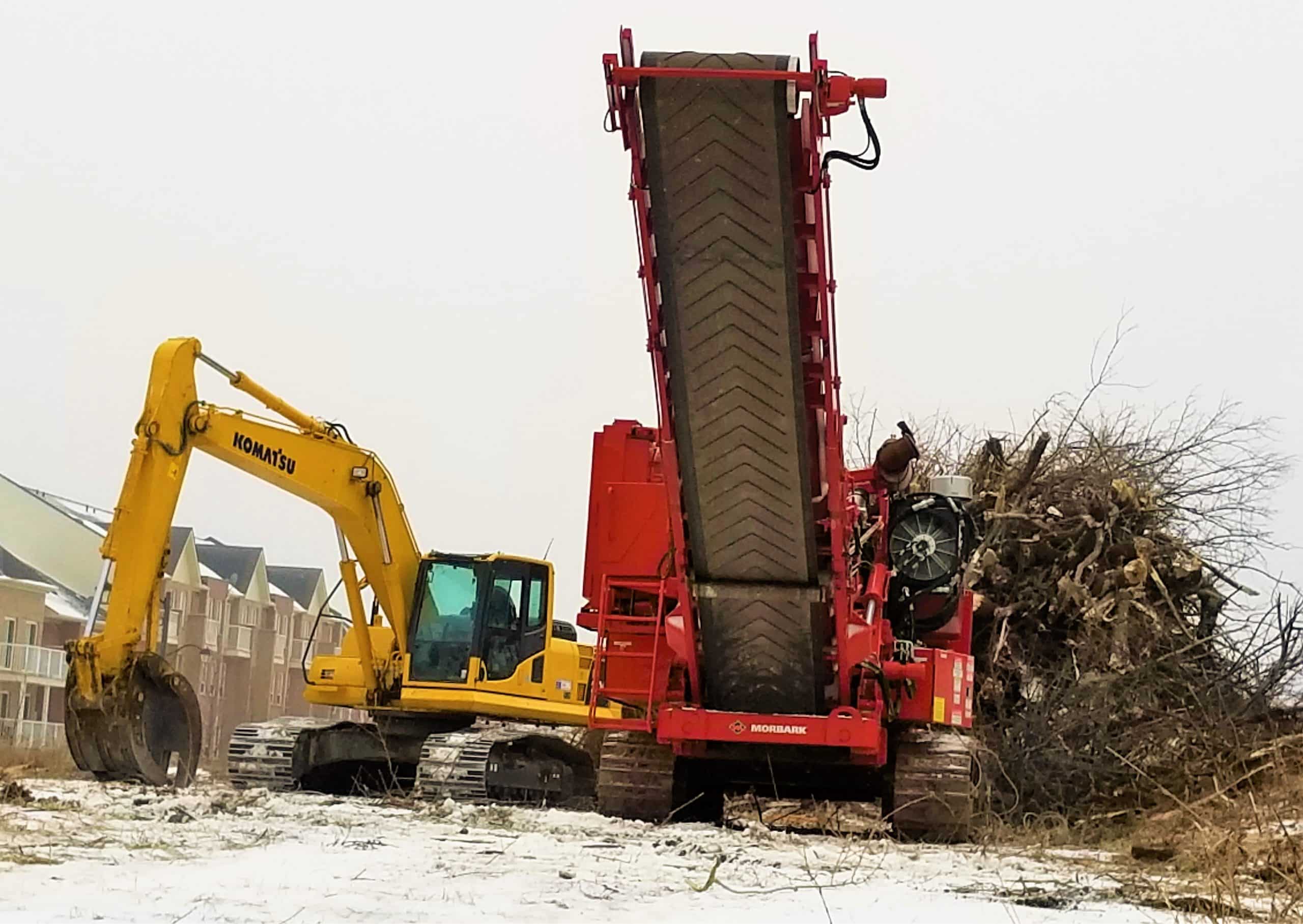 Explore Our Tree Gallery The Real Tree Master