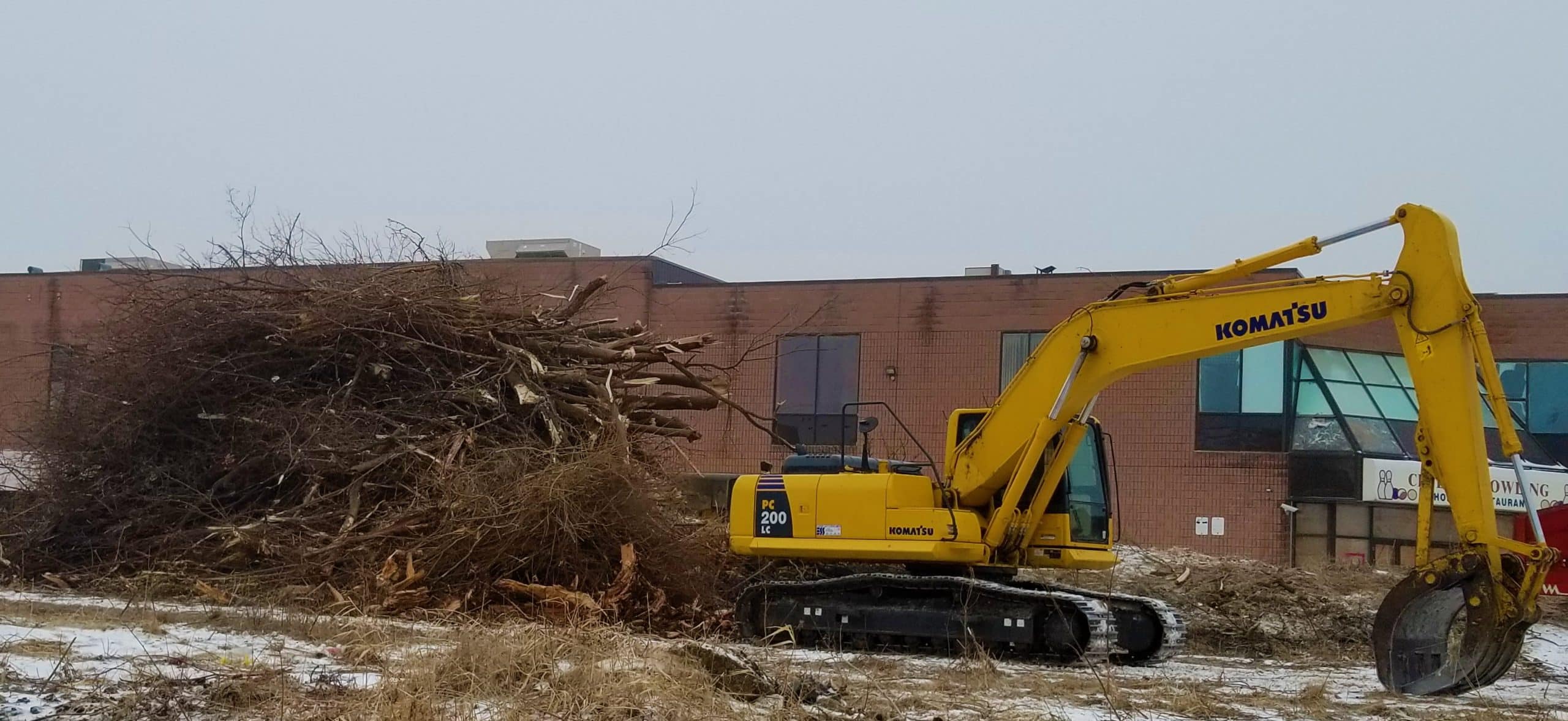 Commercial Tree Services The Real Tree Masters Inc Serving Ontario