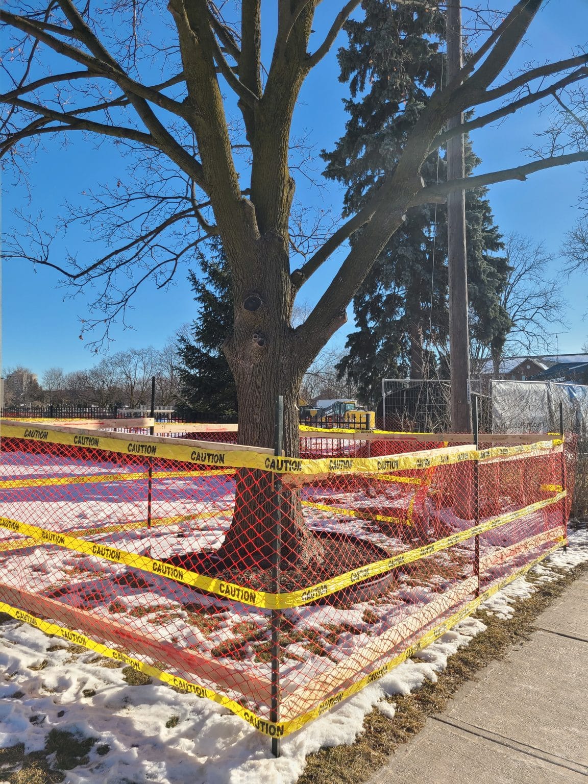 Tree Protection Zone Greater Toronto Area Fencing Installation