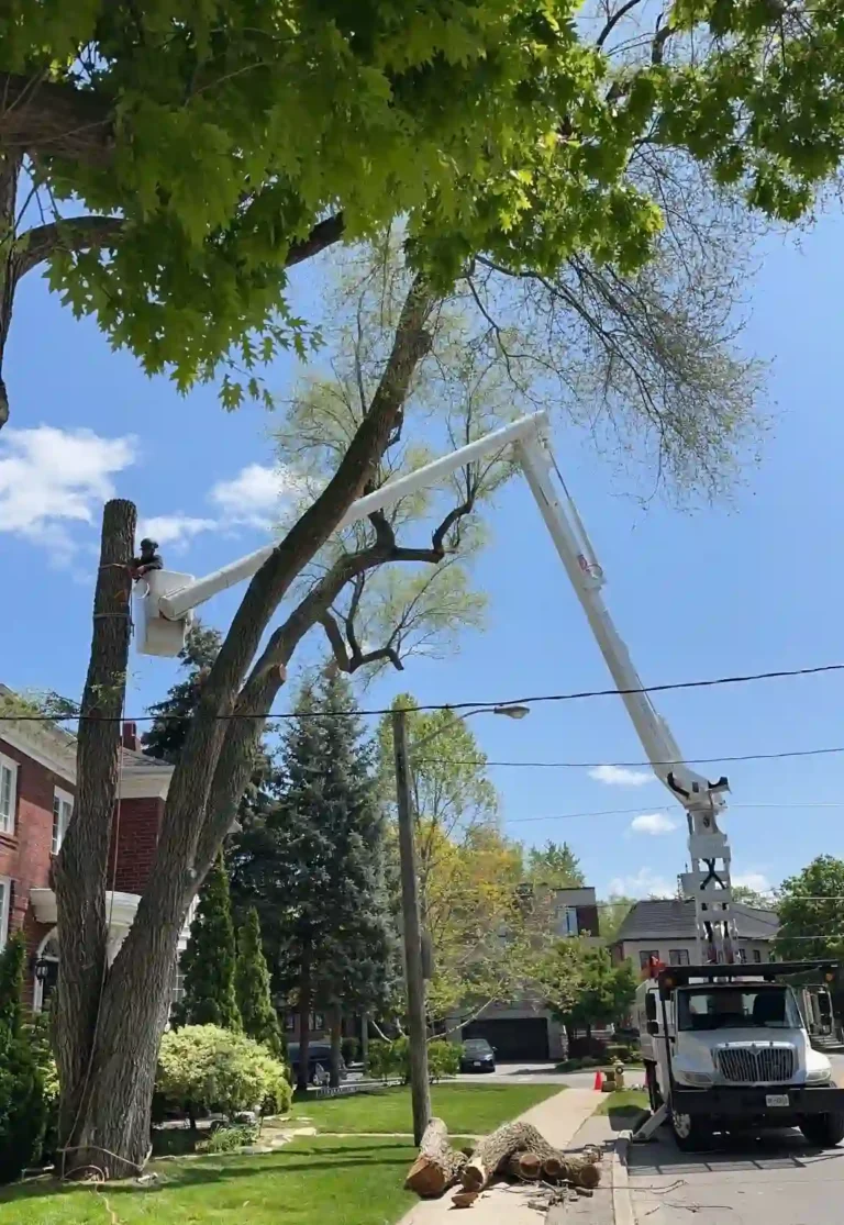 signal 2023 05 24 14 21 42 122 1 1