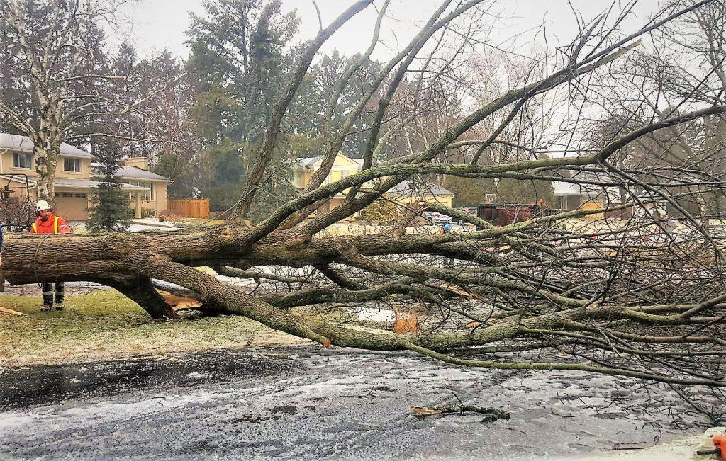 5 Storm damage care service oakville 1