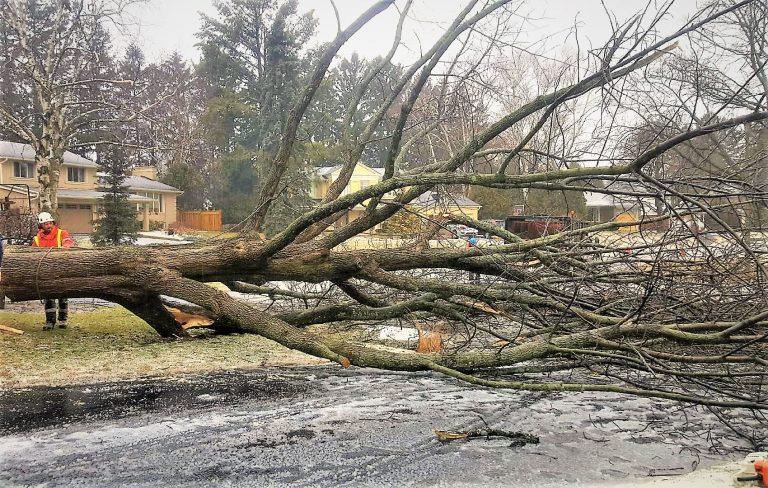 5 Storm damage care service oakville 1