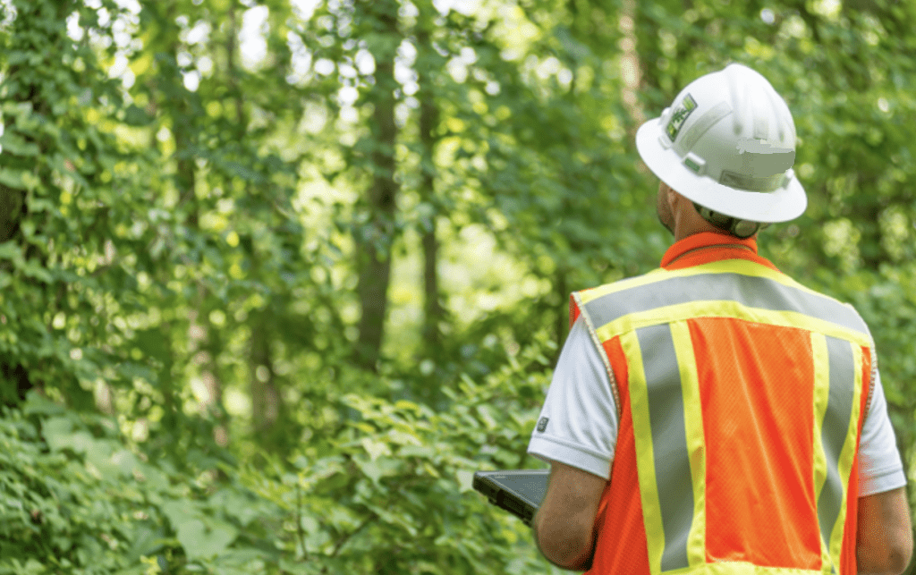 Consulting Arborist Service