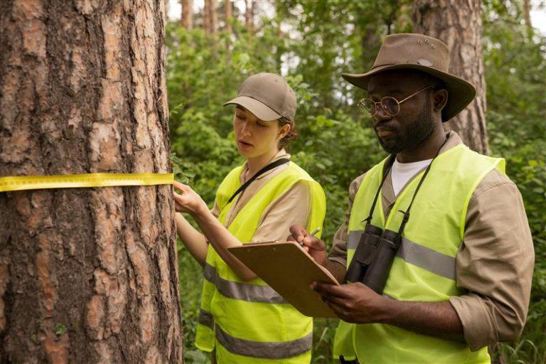 side view forest wardens wearing vests (1)